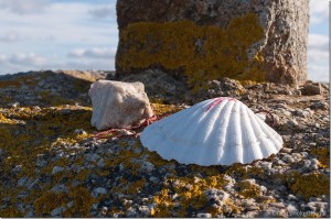 Coquille-Saint-Jacques-Compostelle